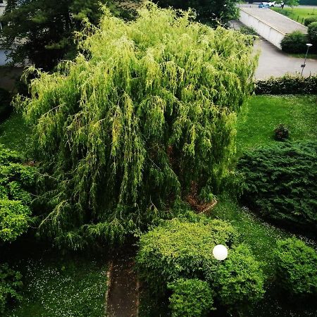P' Ti Ecrin De Verdure 이작크 외부 사진