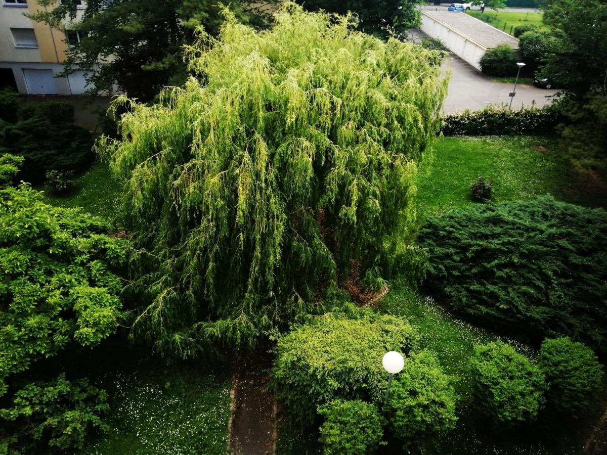 P' Ti Ecrin De Verdure 이작크 외부 사진